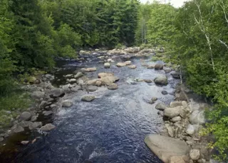 Fishing on the AuSable River